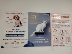 -中农大我爱我爱动物医院·核磁CT·猫病·24小时夜诊中心(石佛营店)