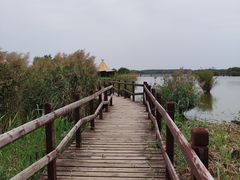 -西青郊野公园