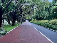 -南宁南湖公园