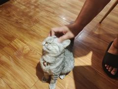 -庆泰顺