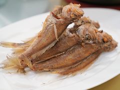 -沪依小酒馆心意菜