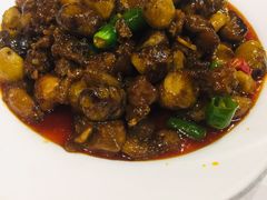 板栗烧乳鸽-琬苑鸽庄·川粤融合菜(解放碑总店)