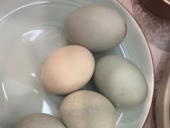 -洞庭家宴·头牌甲鱼(广渠门店)