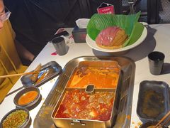 -九鼎轩脆毛肚火锅(南京东路店)
