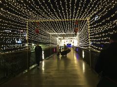 -麦当劳(酒仙桥路店)