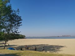 -瑶湖郊野森林公园