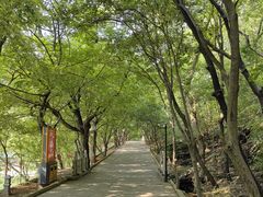 -青檀寺景区