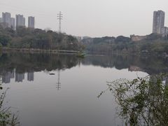 -重庆彩云湖湿地公园