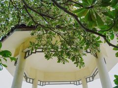 -南沙蒲洲花园