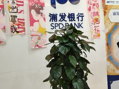 -浦发银行(虹口支行)