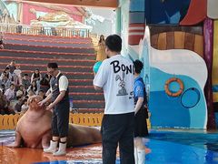 -海合安武汉极地海洋公园