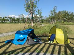 -春花秋色城市公园