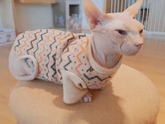 -猫腻·猫咖·撸猫馆(星光大道店)