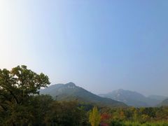 -沂蒙山旅游区云蒙景区(蒙山国家森林公园)