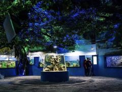 -石林冰雪海洋世界