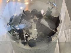 -顶东面包花园·生日蛋糕(太平店)