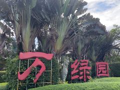 -万绿园