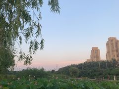 -前关湿地公园