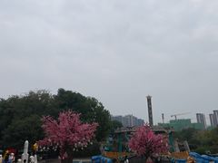 -南湖梦幻岛