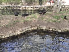-水磨沟公园