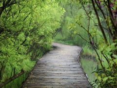 -西溪国家湿地公园