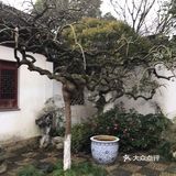 特别有意境。还有一个博物馆