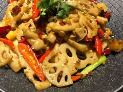 -陈麻婆豆腐总店