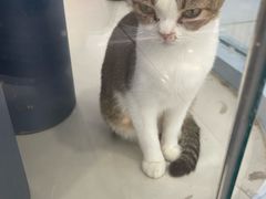 -凯德MALL(望京店)