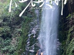-莫里热带雨林景区