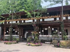 -青城甲(青城山店)