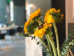 -乔泰勒JOETYLER西餐厅(曲江店)