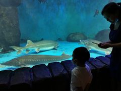 -多彩贵州城极地海洋世界