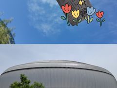 -《驼铃传奇》秀