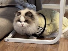 -美联众合动物医院·24h转诊中心