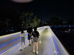 -云碧峰国家森林公园