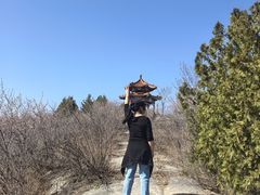 -白水寺森林公园