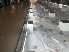 -青岛贝壳博物馆