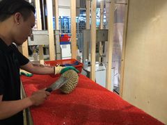 -都念榴莲·城市榴莲