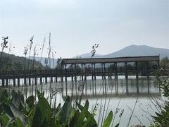 -石塘人家