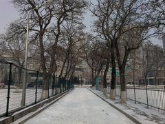 -辽宁大学(崇山校区)
