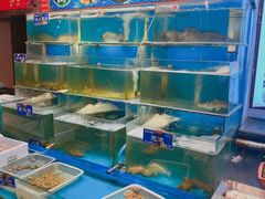 水产区-粥全粥到海鲜家常菜·海肠捞饭(嫩江路店)