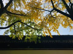 -西园戒幢律寺