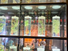 -广东中医药博物馆