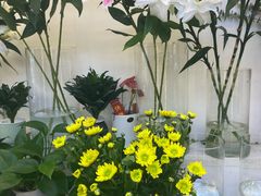 -花草间花行(法华镇路店)