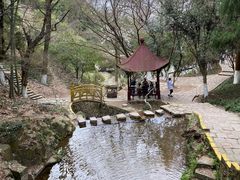 -莫干山风景区