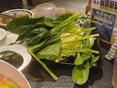 -滇牛云南火锅(桂林路店)