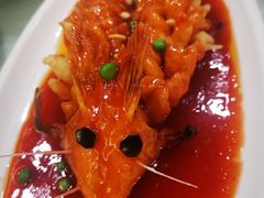 -丁老爷子苏香圆