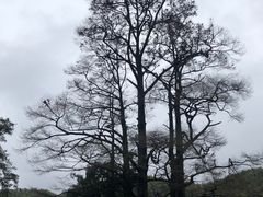 -四明山国家森林公园