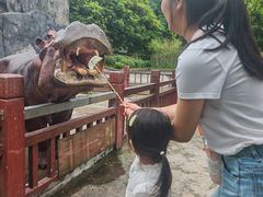 -贵州森林野生动物园