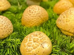 -南堂馆·新川菜(春熙路店)